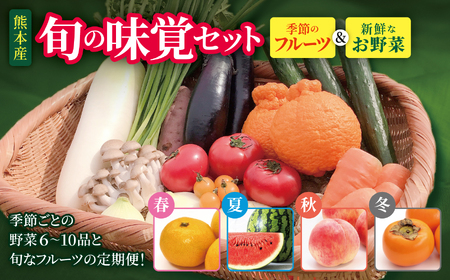 旬の味覚セット 季節のフルーツ・熊本の新鮮お野菜(6～10品目) (詰め合わせ)