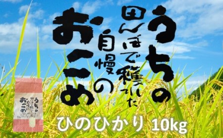 令和4年産 松村さんちの田んぼで穫れたお米「ひのひかり」10kg