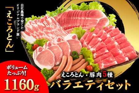 えころとん・豚肉5種(計1160g) バラエティセット《60日以内に出荷予定(土日祝除く)》熊本県産 有限会社ファームヨシダ