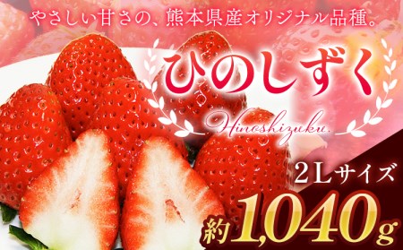 ひのしずく 1040g 2Lサイズ《4月中旬-4月末頃出荷》熊本県 大津町 果物 フルーツ いちご 苺 熊本県オリジナル品種 1kg以上