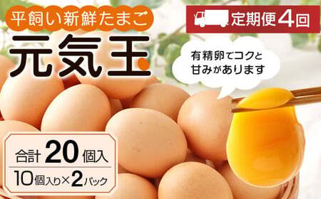 【4回定期便】平飼い 新鮮 たまご 元気玉 卵 計80個 (10個×2パック)×4回