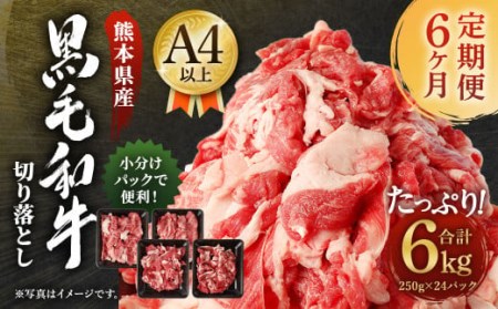 【6ヶ月定期便】 熊本県産 黒毛和牛 A4以上 切り落とし 1kg 合計6kg