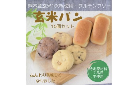 【3ヶ月定期便】 玄米 パン （グルテンフリー） ドライフルーツ ミックス 16個 セット