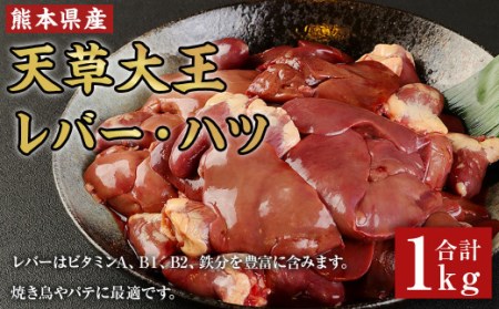 天草大王 レバー ・ ハツ 1kg 鶏肉 熊本県産
