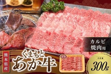【くまもとあか牛】熊本県産 褐毛和牛 カルビ 焼肉用 300g