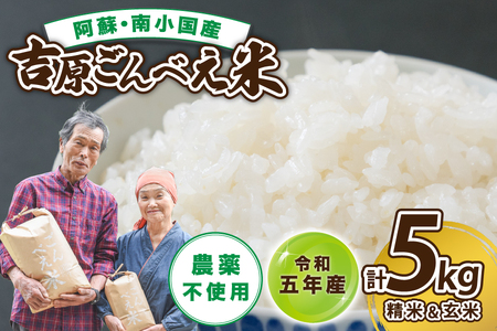 令和５年産　ごんべえ米食べ比べ（白米２.５kg・玄米２.５kg）