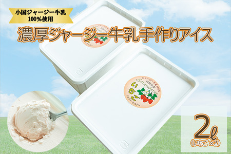 【大容量2L】濃厚ジャージー牛乳手作りアイス（1L×2個：いちご）