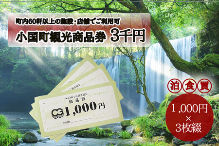 小国町観光商品券3千円（1000円×3枚）