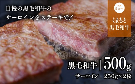 黒毛和牛・サーロイン500g【熊本県畜産農業協同組合】