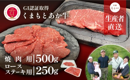 生産者直送！GI認証　くまもとあか牛焼き肉用(500g)・ロースステーキ(250g)セット