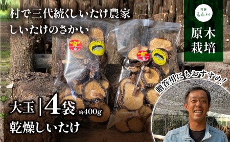 阿蘇・産山村産　原木乾燥しいたけ　大玉400g（100g×4袋）
