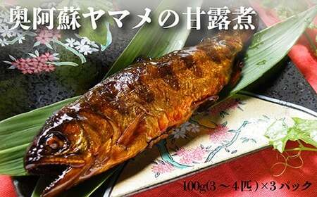 奥阿蘇 ヤマメ 甘露煮 100g×3パック 3～4匹 熊本県 高森町産
