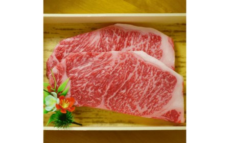 GI認証 くまもとあか牛 サーロインステーキ （200g×2枚） 合計 400g あか牛 サーロイン お肉 肉 ステーキ