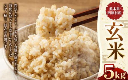 お米 玄米 5kg ヒノヒカリ