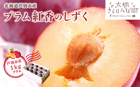 【先行受付】 プラム 紅香のしずく 1kg 北海道 芦別市 大橋さくらんぼ園