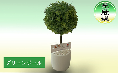 光触媒・造花 グリーンボール 約25cm 観葉植物 植物 北海道 芦別市 日本インソール工業