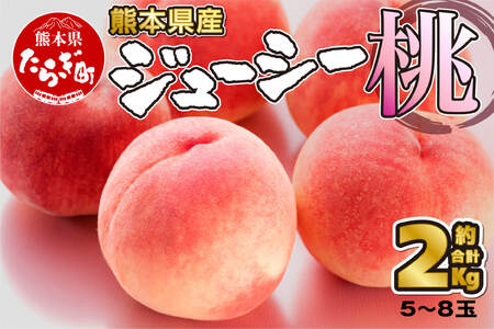 【先行予約】 桃 ＜5～8玉＞ 約2kg 『厳選した桃をお届けします！』 6月下旬以降順次発送 先行予約 受付 桃 もも 熊本県産 果物 フルーツ 087-0656