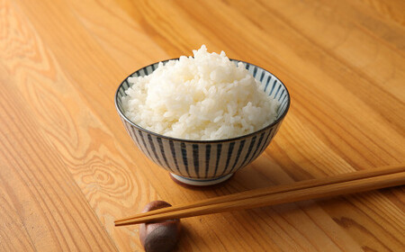 【令和5年産】水上村のお米 ヒノヒカリ 10kg入り 精米 米