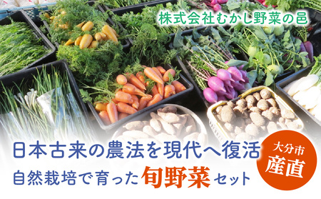 F01005  むかし野菜の邑　大分市産直　自然栽培の野菜セット