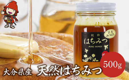 天然はちみつ 500g 国産 日本 蜂蜜 非加熱 はちみつ ハチミツ 百花蜂蜜 大分県産 九州産 中津市