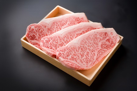 豊後牛サーロインステーキ 200g×3枚 牛肉 和牛 ステーキ肉 焼肉 焼き肉 大分県産 中津市