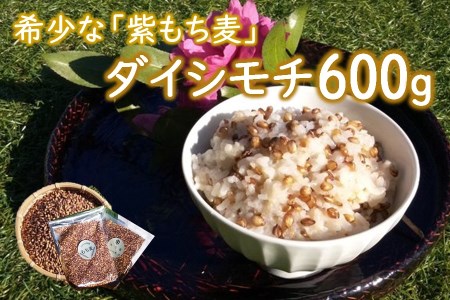 山々と源流の山国町「nakano麦園」の希少な『紫もち麦』ダイシモチ300g×2袋