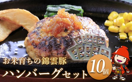 錦雲豚 ハンバーグ 10個セット (100g×10個) 大分県産 ブランド豚 冷凍 小分け 国産 九州産