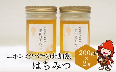 ニホンミツバチの非加熱 はちみつ 200g×2個 百花蜜 蜂蜜 ハチミツ 大分県産 九州産 中津市 国産