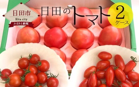 Ａ－０４　日田のトマト 2ケース 計1.6kg