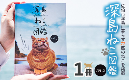 「深島ねこ図鑑」（１冊）　猫たちの表情に癒されます。