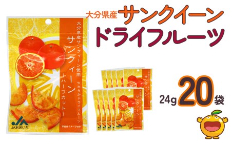 サンクイーンドライフルーツ(24g)×20袋【tsu0001028】
