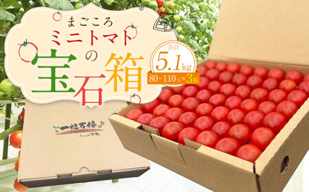 【2024年7月上旬発送開始】まごころ ミニトマト の宝石箱 1.7kg(約80～110玉)×3箱 計5.1kg サンチェリーピュア トマト