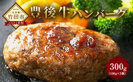 大分県竹田産 豊後牛の ハンバーグ 【100g×3個】
