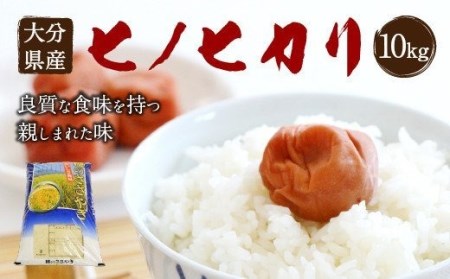 【令和5年産米】大分県産 ヒノヒカリ 10kg 精米 お米