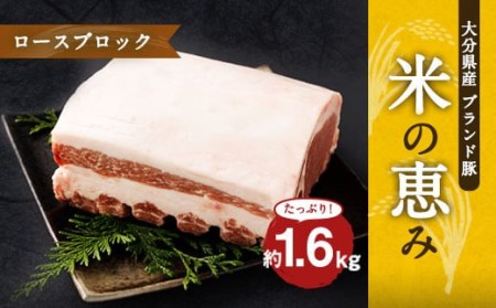 大分県産ブランド豚「米の恵み」ロースブロック 1.6kg (1.6kg×1) 豚肉