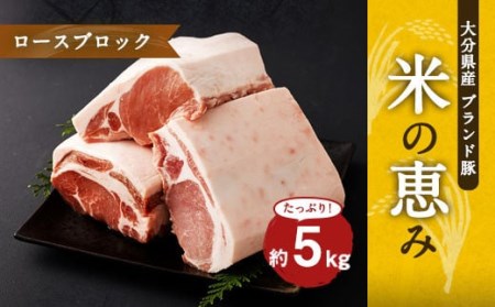 大分県産ブランド豚「米の恵み」ロースブロック 5.0kg (2.5kg×2) 豚ロース 豚肉