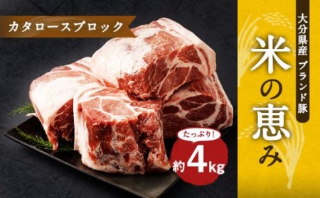 大分県産ブランド豚「米の恵み」カタロースブロック 4.0kg (2.0kg×2) 豚肉 肩ロース