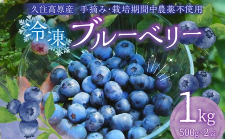 久住高原 冷凍 ブルーベリー 500g 2袋 計1kg 小分け 栽培期間中農薬不使用 手摘み 果物 フルーツ