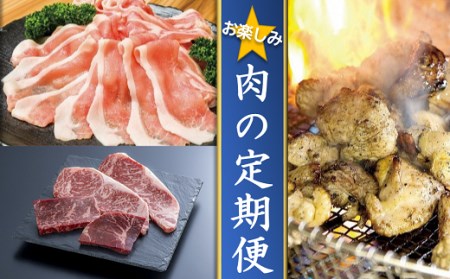 JA-04 【牛・豚・鶏】お楽しみ肉の定期便 年3回