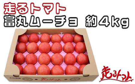「走るトマト」の大玉トマト富丸ムーチョ 約4㎏＜140-001_5＞