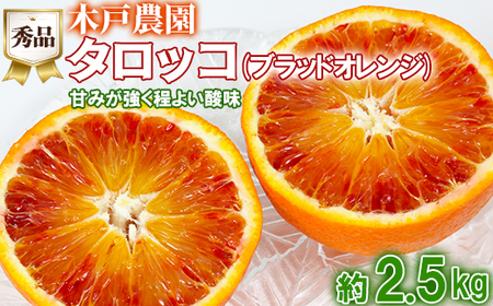 木戸農園のタロッコ（ブラッドオレンジ）約2.5kg（秀品）＜113-004_5＞