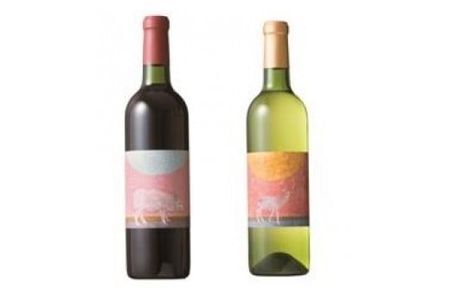 【100802300】 安心院＊小さなワイン工房　ワイン２本セット（白ワイン＋赤ワイン）