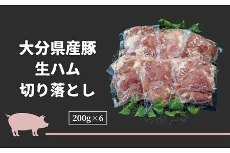 【102000100】 大分県産豚生ハム切り落としセット 200g×6パック