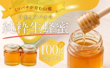 025-987 日本 ミツバチ の 純粋 生蜂蜜 100g