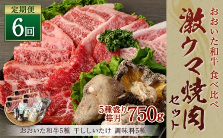 145-755 【 定期便 6回】「 激ウマ 焼肉 セット 」 牛肉 和牛 国産 大分県産