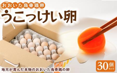 ふるさと地たまご 60個（M・Lサイズ）卵 赤たまご 10個破損補償含む