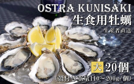 2361R_生食用殻付き牡蠣「Ostra Kunisaki」大きいサイズ20個（殻付き重量110～200g/個）