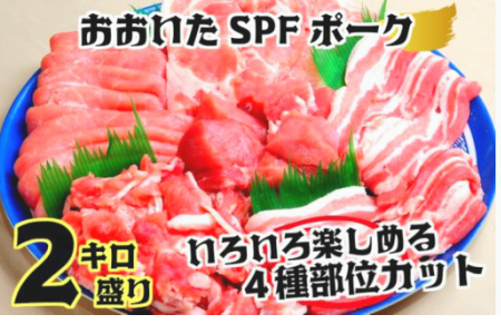 1253R_SPF豚いろいろ楽しめる2kgセット