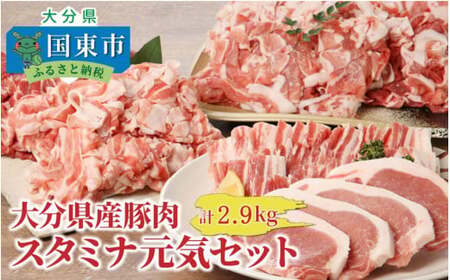 1829R_大分県豚肉スタミナ元気セット2.9kg