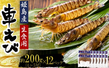 生食用凍眠凍結姫島車えび(養殖)約200ｇ(4尾～5尾)×12パック